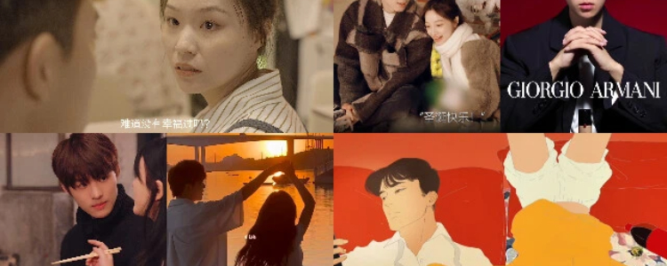 蘑菇视频 - 互动交流新体验